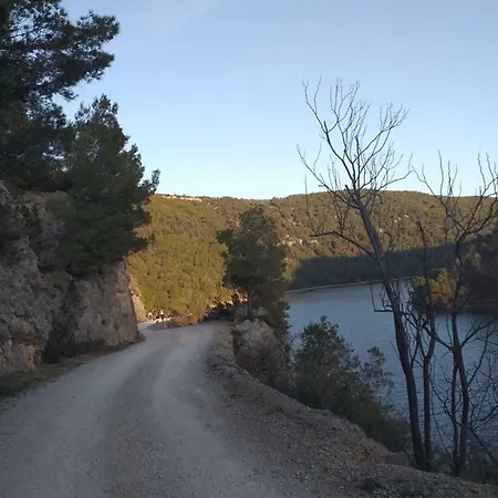 Viola * Skradin